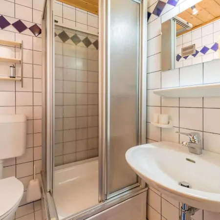 Elsa Apartment Flachau